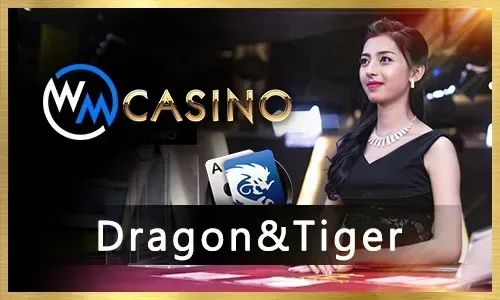 Player enjoying okfun online slots